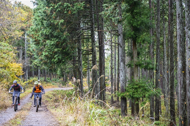 ジェイ b スターキー自然保護地域 自転車 トレイル