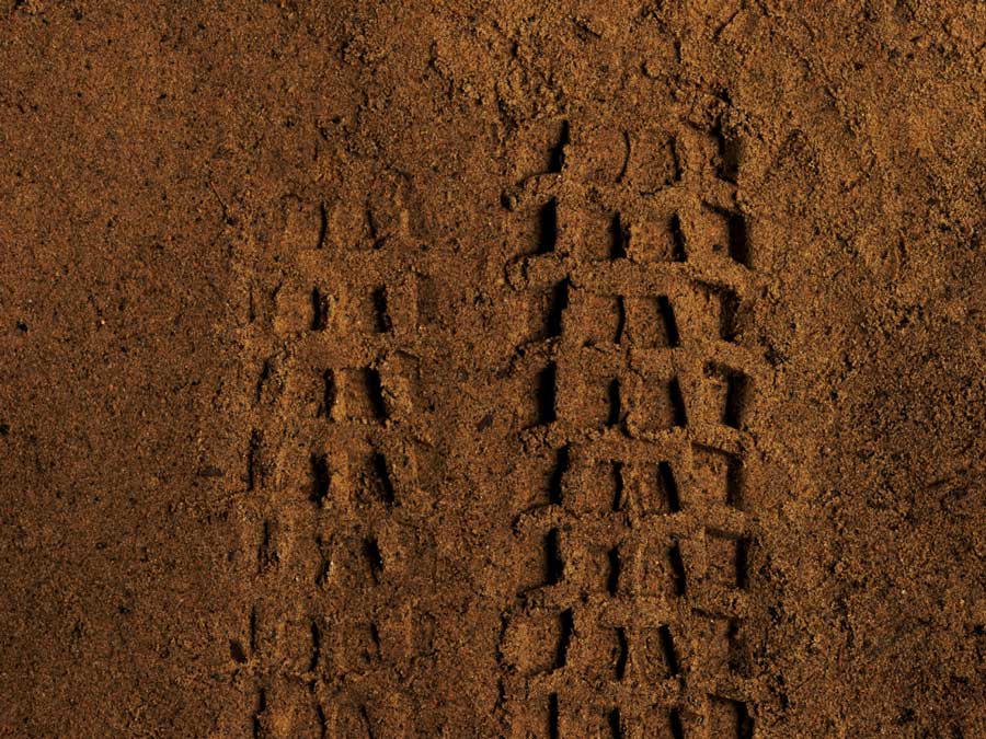 Butcher & Eliminator Grid Gravity Radial Casings