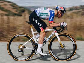 �����R���ؖ��B�X���[�X�������� - Cotton TLR������